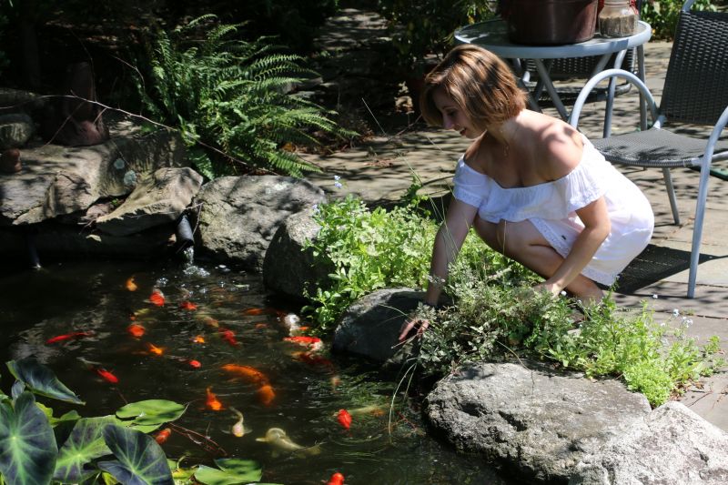 Koi Pond Cleaning And Maintenance