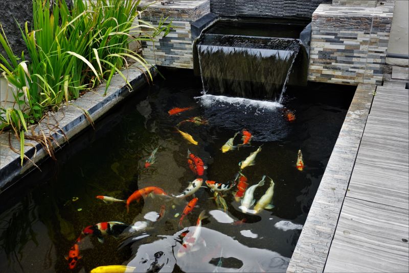 Koi Pond Cleaning And Maintenance