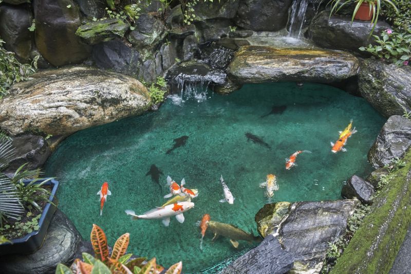 Koi Pond Cleaning Costs — cost of