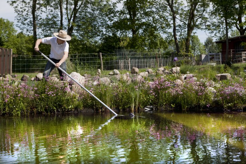 Koi Pond Cleaning Costs — cost of