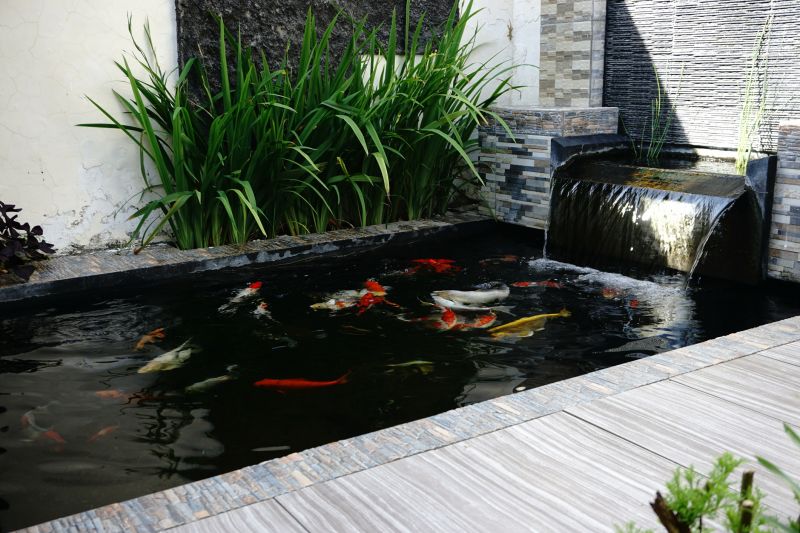 Koi Pond Maintenance Equipment